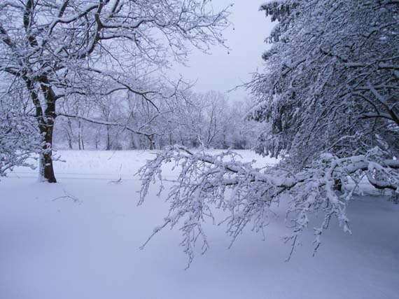 Winter Wonderland @SabastiensNook