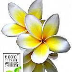 Handmade Soap - Monoi de Tahiti Tahitian Gardenia Soap